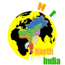 JourNEI Logo